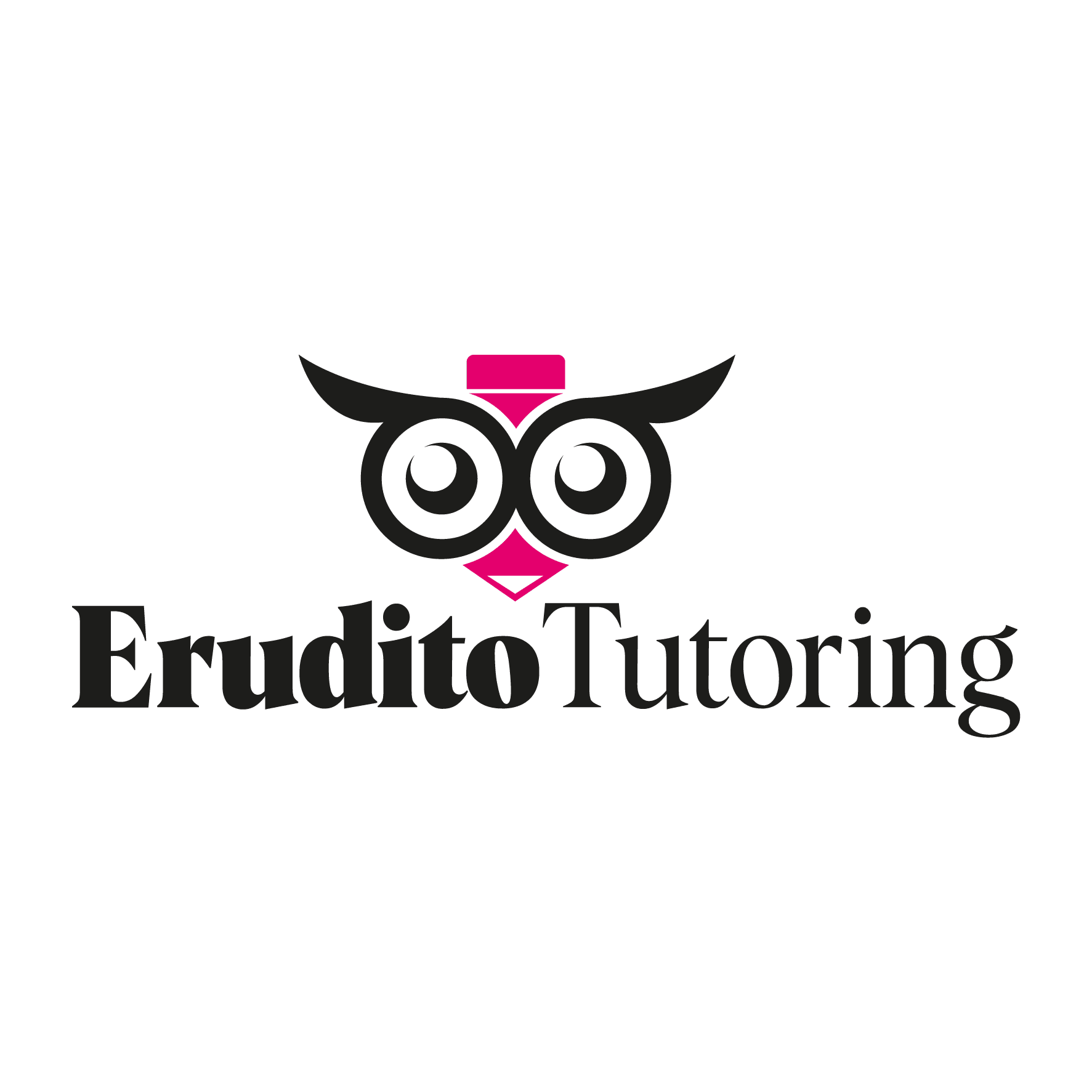 Erudito Tutoring